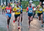 Marathon Eindhoven 2013