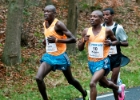 Montferlandrun 2014