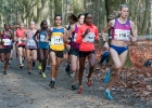 Warandeloop 2014 Crossgala vrouwen