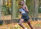 Zevenheuvelenloop 2016