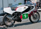 DSC8484