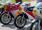 DSC8485