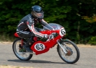 Haler-CRT-2018-8