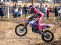 MX2-12