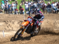 MX2-8