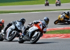 FR31