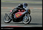 PietDamen113