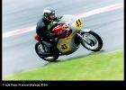 PietDamen99