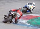 ProCup600-11