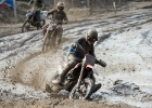 MX2-33