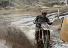 MX2-36