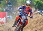 MX2-15