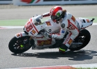 MGP29
