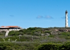 Aruba-14