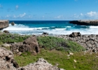 Aruba-23