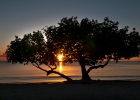 Aruba