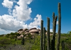 Aruba-3