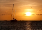 Aruba-30