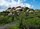 Aruba-4