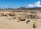 Bonaire-24