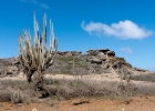 Bonaire-26