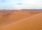 Dubai-20