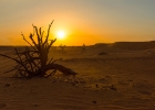 Dubai-21