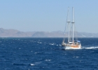 K06