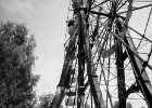 TJ-19