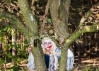 Zombierush 2015-6