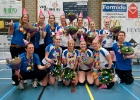 Volleybal