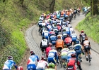 Amstel Gold Race 2016