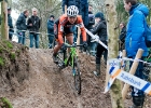NKvr2015-21