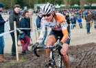NKvr2015-31