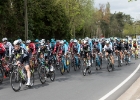 Scheldeprijs2017-12