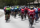 Scheldeprijs2017-13