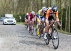 Scheldeprijs2017-17