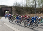 Scheldeprijs2017-2