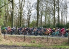Scheldeprijs2017-22