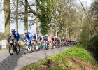 Scheldeprijs2017-23