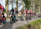 Scheldeprijs2017-24