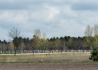 Scheldeprijs2017-4