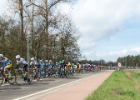 Scheldeprijs2017-6