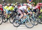 Scheldeprijs2016