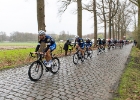 Scheldeprijs2016-13