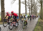 Scheldeprijs2016-15