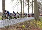 Scheldeprijs2016-19