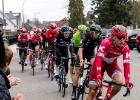 Scheldeprijs2016-7