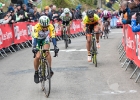 WaalsePijl17-Vr-19