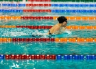 Swim Cup Eindhoven 2016